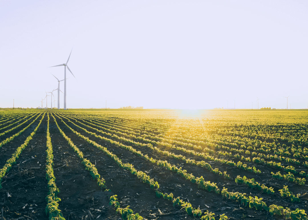 Farms with wind turbines in Indiana